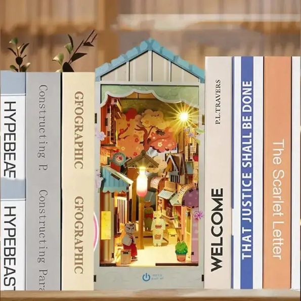 CAT GROCERY STORE DIY BOOK NOOKS